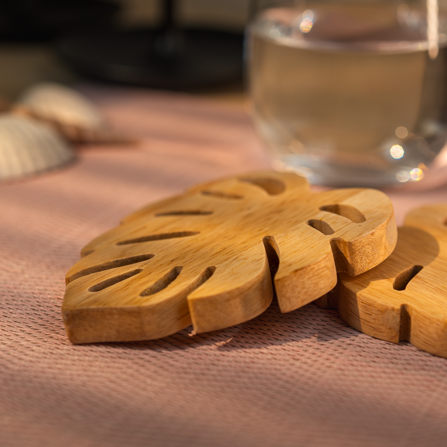 KNICK-KNACK: LUSH COASTERS (set of two)