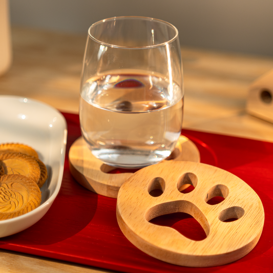 KNICK-KNACK: PAW-FECT COASTERS (set of two)